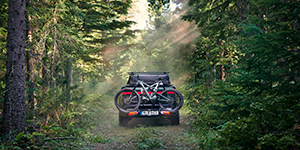 Thule group