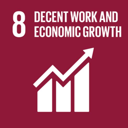 Goal 8: Decent Work and Economic Growth 