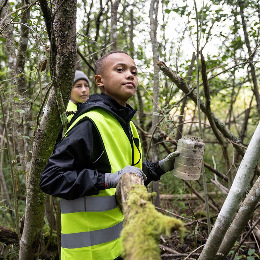 Click to view larger version