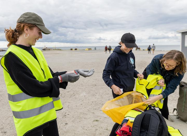 Click to view larger version