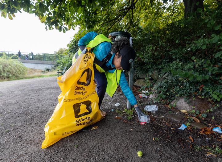 Click to view larger version