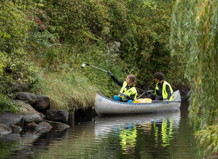 Click to view larger version