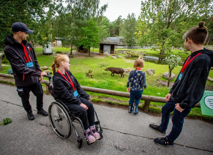 Click to view larger version