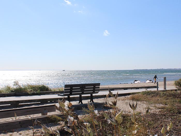 Click to view larger version