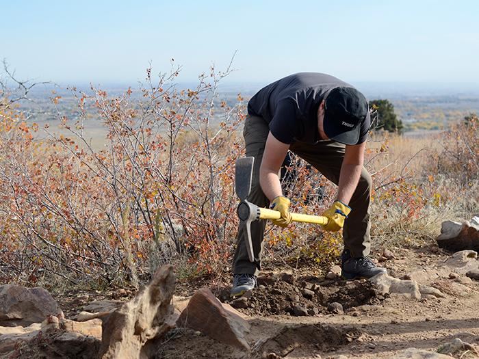 Click to view larger version