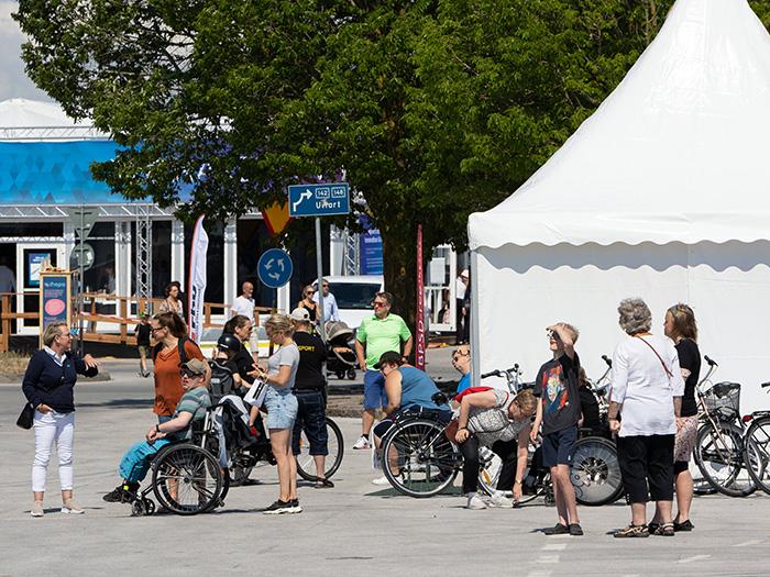 Click to view larger version