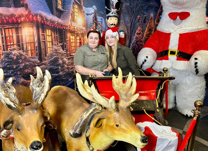 Click to view larger version