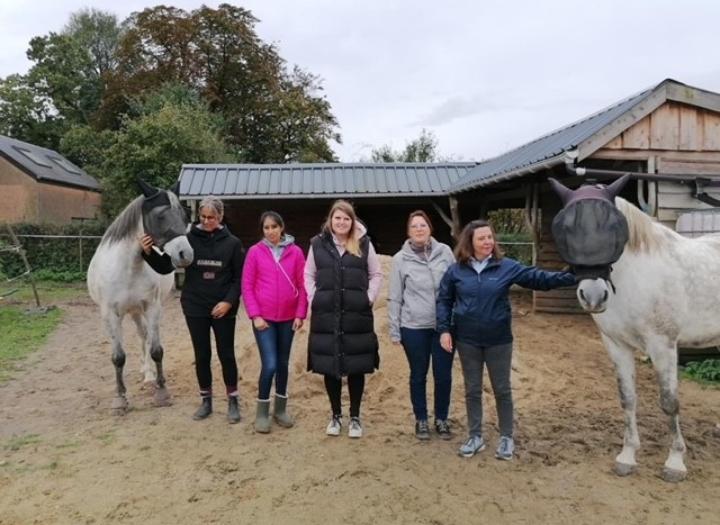 Click to view larger version