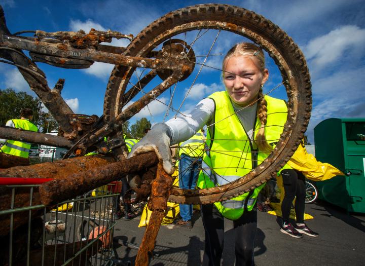 Click to view larger version