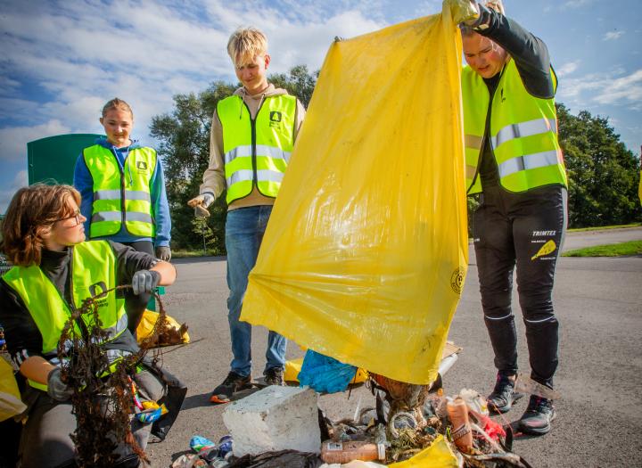 Click to view larger version