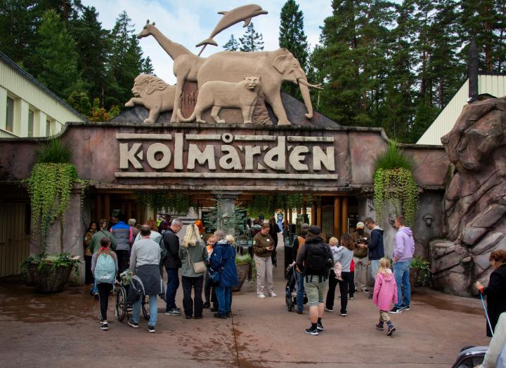 Click to view larger version