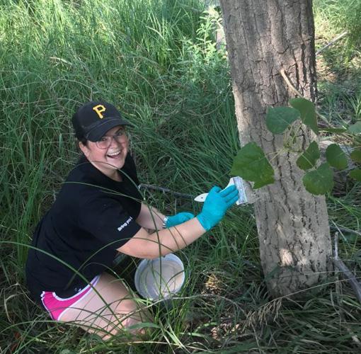 Click to view larger version