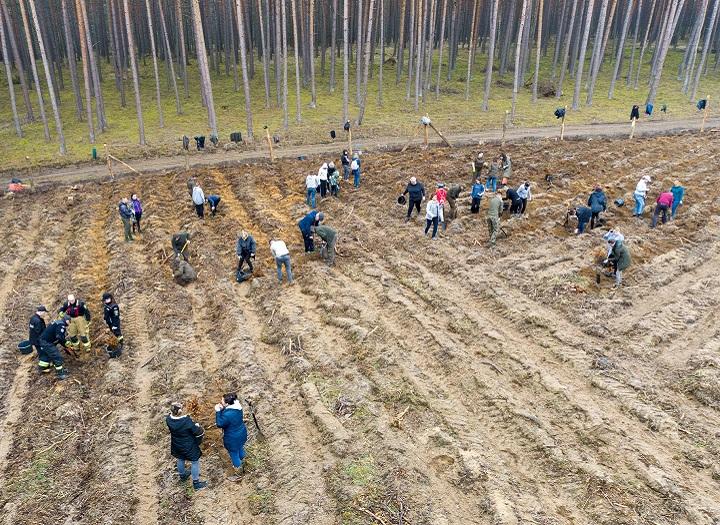 Click to view larger version